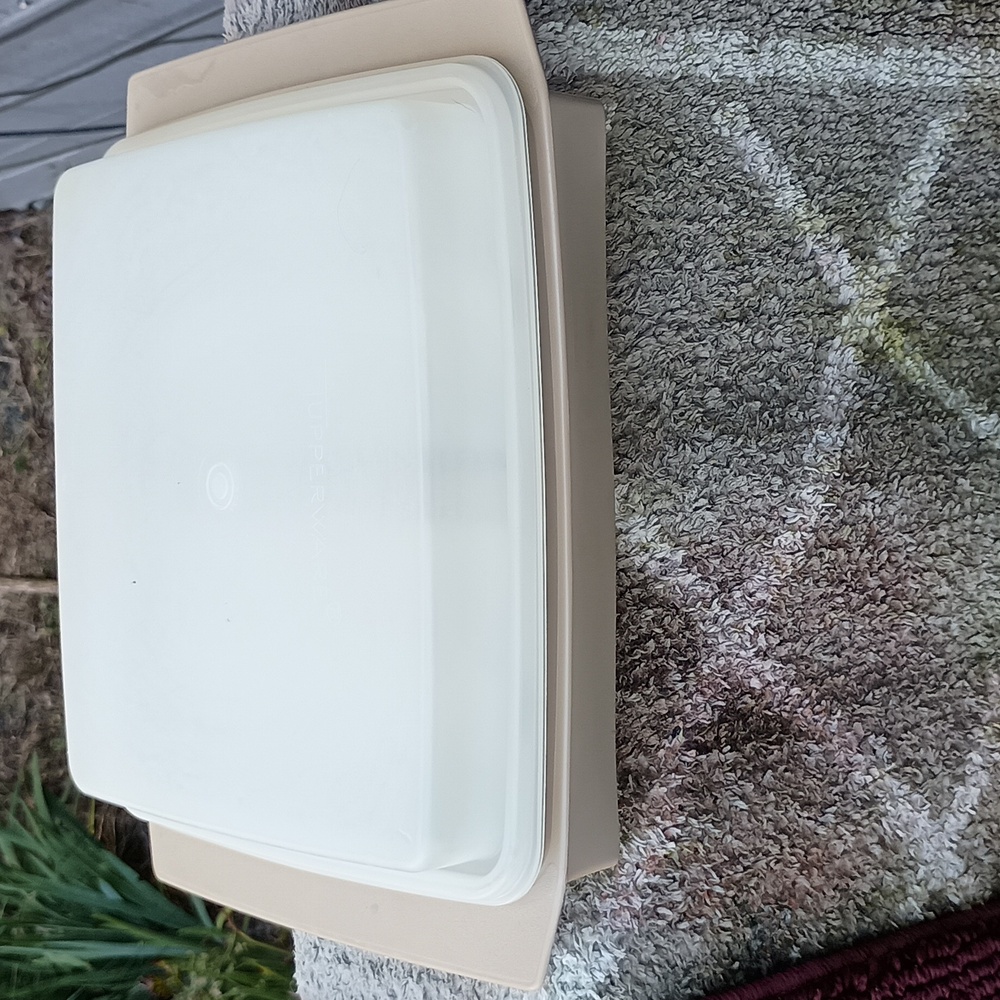 Vintage Tupperware 16 ct deviled eggs container with lid. Some discoloration - Picture 5 of 7
